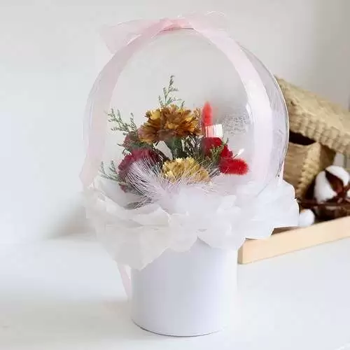 풍선카네이션-추천