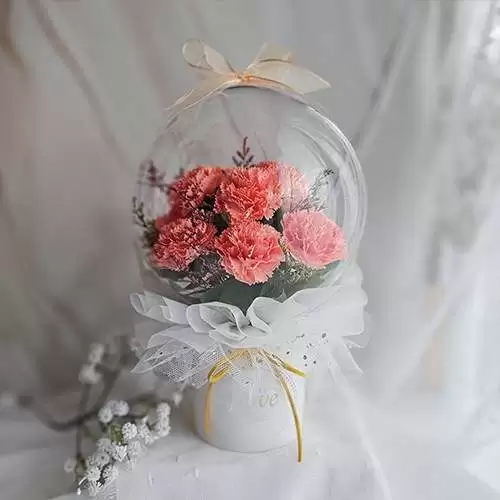 풍선카네이션